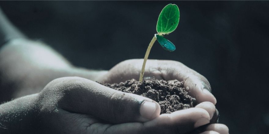AUCAL Bussines School Blog Social ¿Es posible mantener la vivienda al acogerse a la Ley de Segunda Oportunidad?