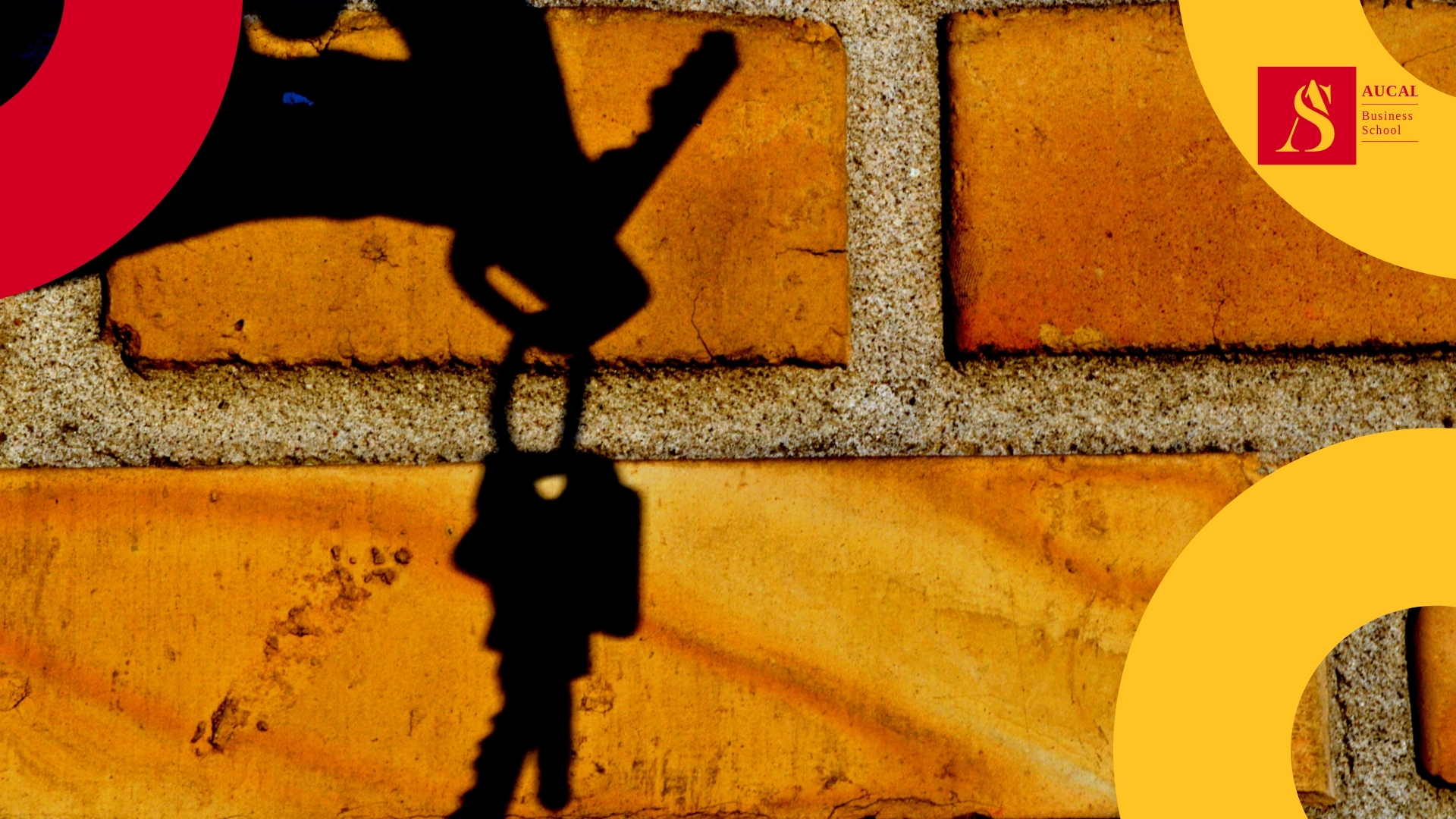 AUCAL Bussines School Blog educacion ¿Existe el racismo inmobiliario?
